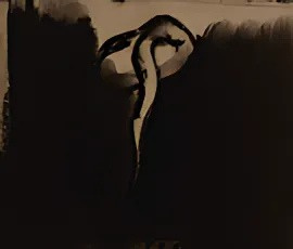 Seed illustration 1