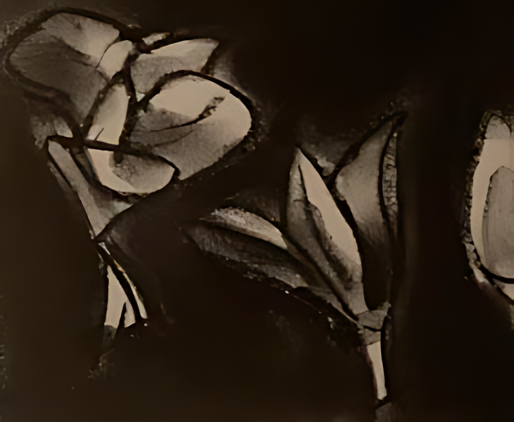 Seed illustration 4